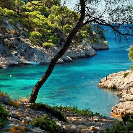 Ciotat Colada Beau Duplex Atypique A 50 M Du Port Classe 3 Etoiles